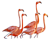 AssessmentKaro