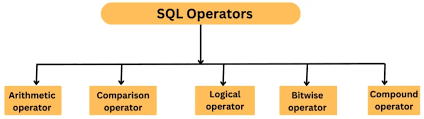 SQL Operators in Hindi - DBMS